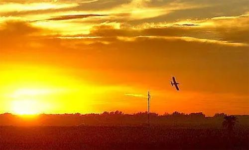 �l���һ�ɢ����