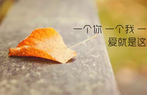 ���ڌ��R��Ĺ�������Ͳ�����