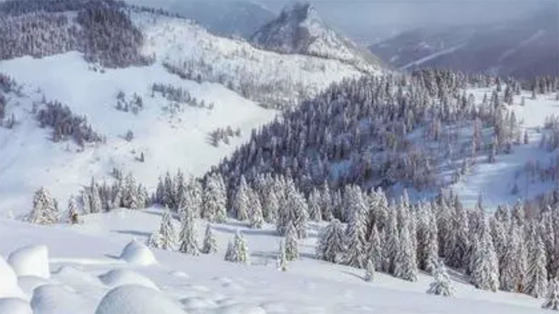 2024��ڶ���ѩ