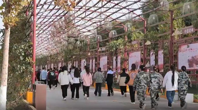 �����ڕ���������һ����һ����ɽ��