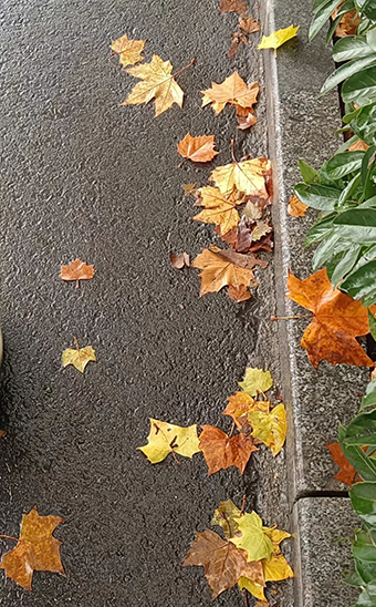 Մ?w��)�Ĺ�?></a></li></ul>
<ul class=