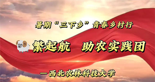 �ഺ����  ����