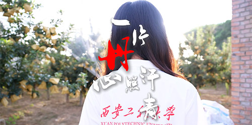 һƬ�����պ��ࡪ�����_��������������ഺ�����𰸣�