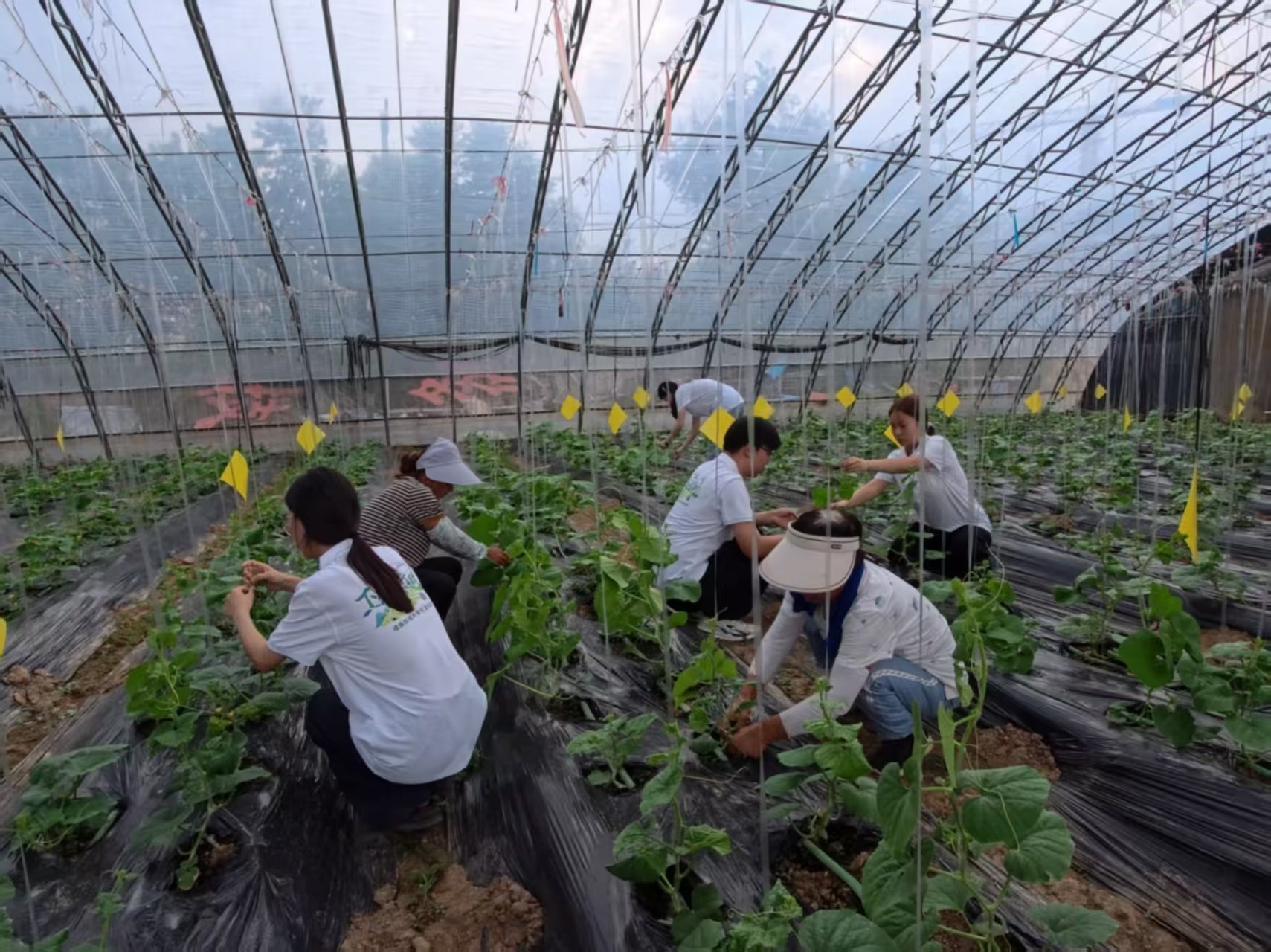 �N�Ϗ�о�������l��-������������Ƽ������������̎�����҂��ഺ�Ĵ�