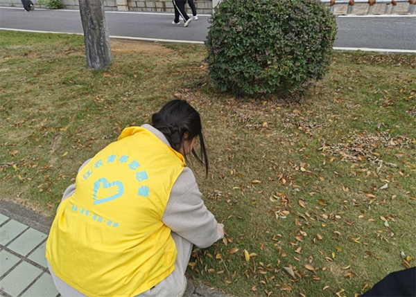 �����L��������΢��